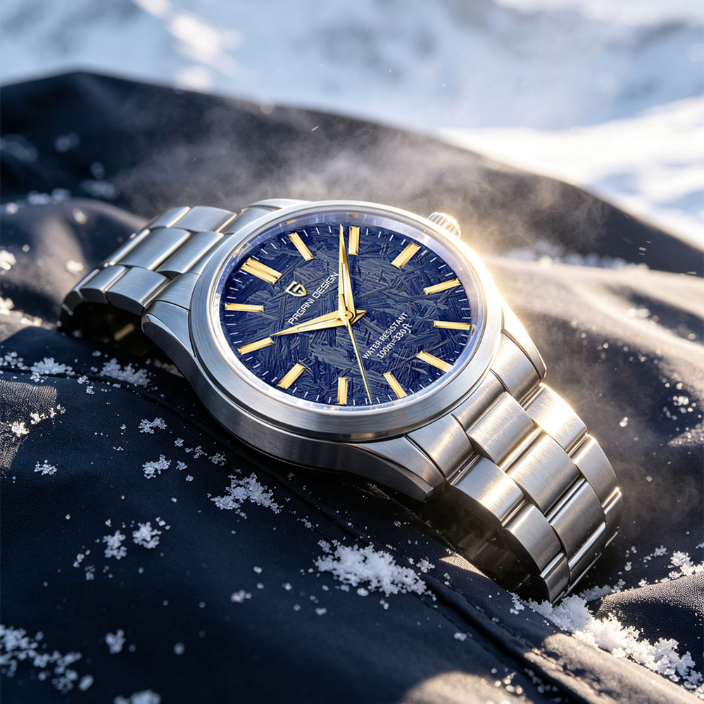 PAGANI DESIGN 40MM Men Quartz  - đánh giá và giá Accessories With Watch